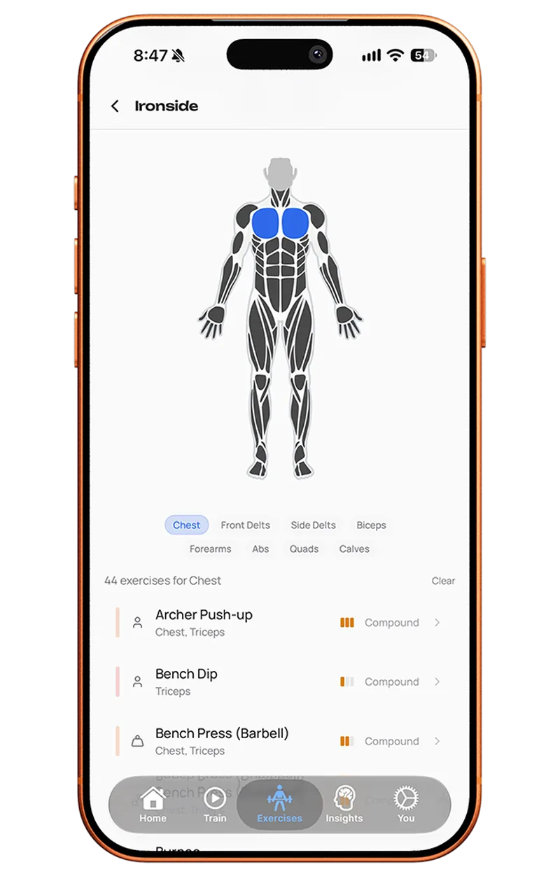 Ironside exercise library with chest muscle map and filtered chest exercises
